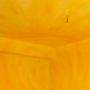Gelbe Wand